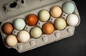 Oeufs