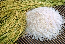 Riz